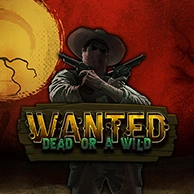 Wanted Dead or a Wild